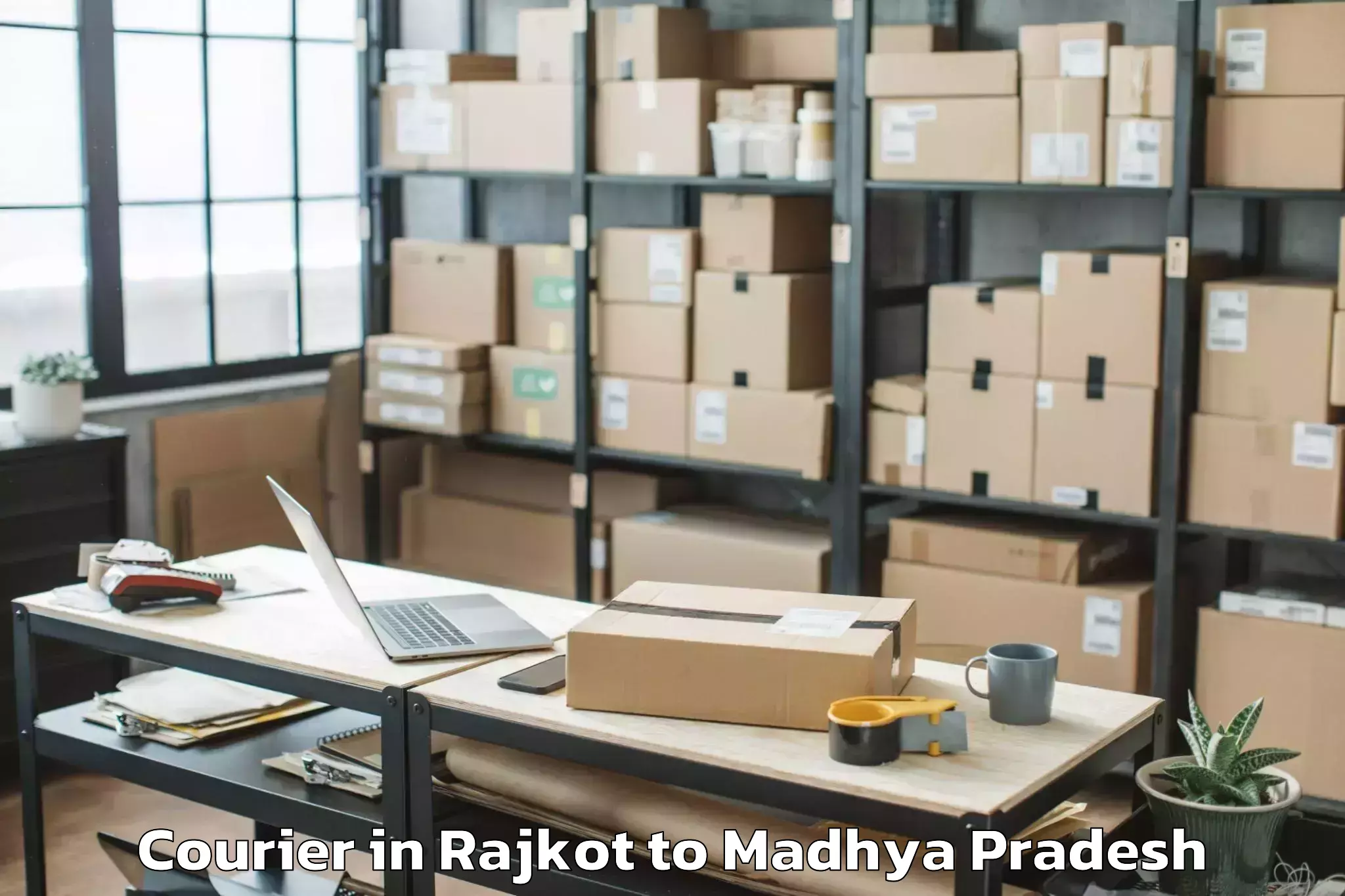 Expert Rajkot to Madhyanchal Professional Unive Courier